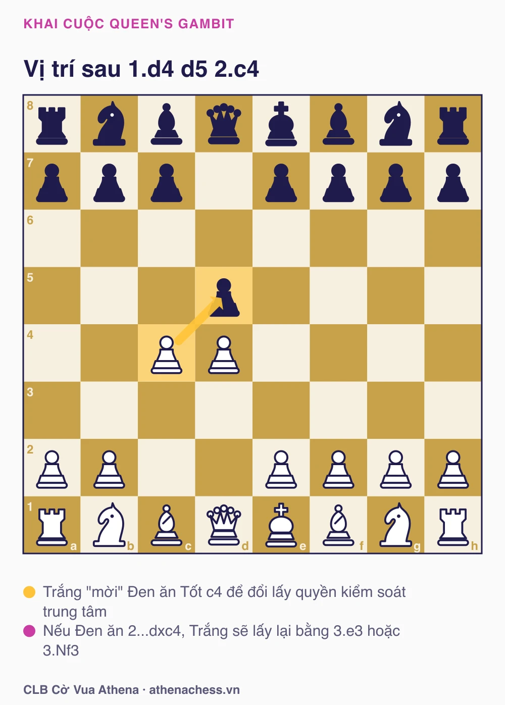 Sơ đồ bàn cờ Queen's Gambit sau 2.c4 — Trắng mời Đen ăn Tốt để đổi lấy quyền kiểm soát trung tâm
